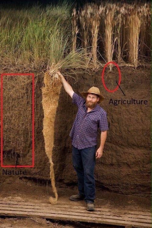 agricultura vs natura agricultura vs natura